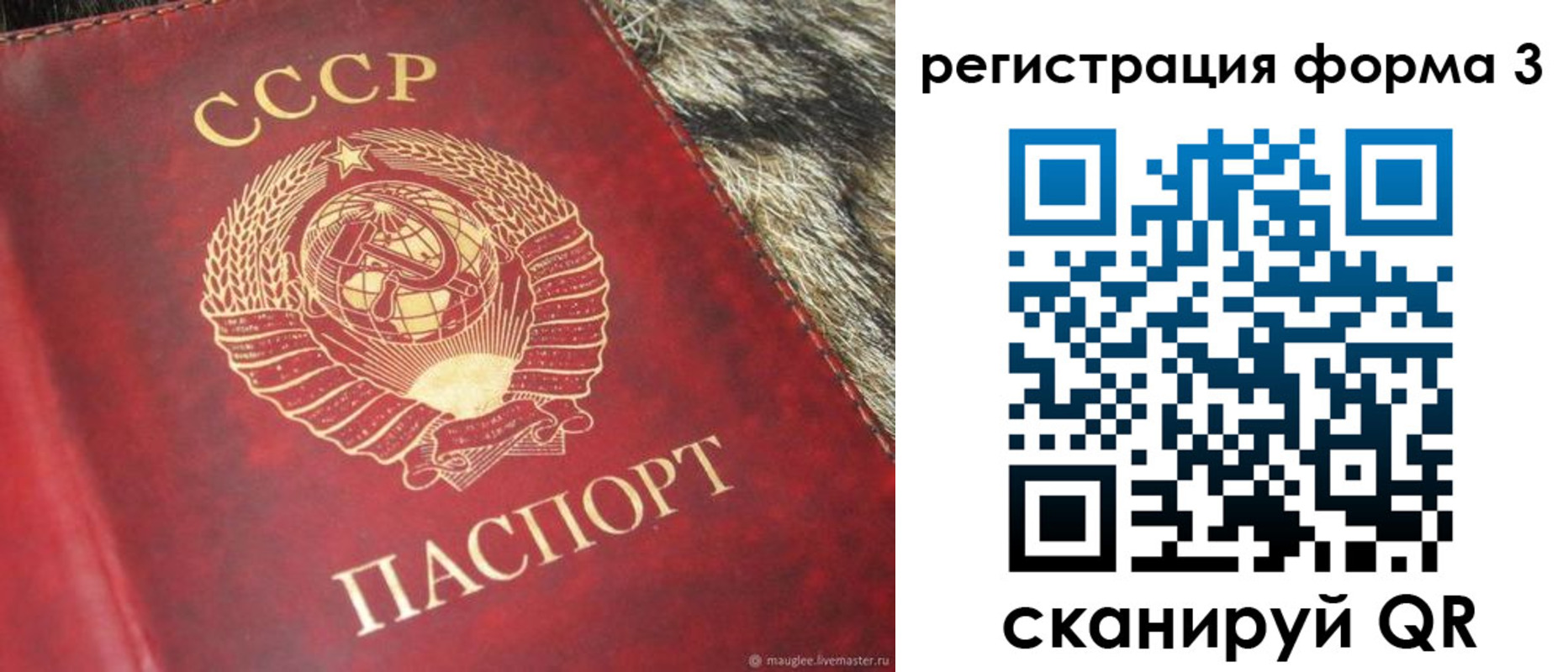 прописка регистрация в Волгограде